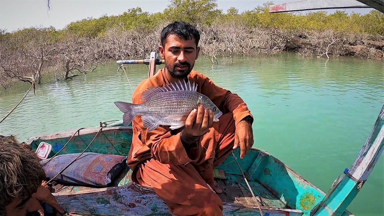 Mangroves Fishing From Rehri Goth To Khai Khudi Karachi | Bottom Fishing 2022