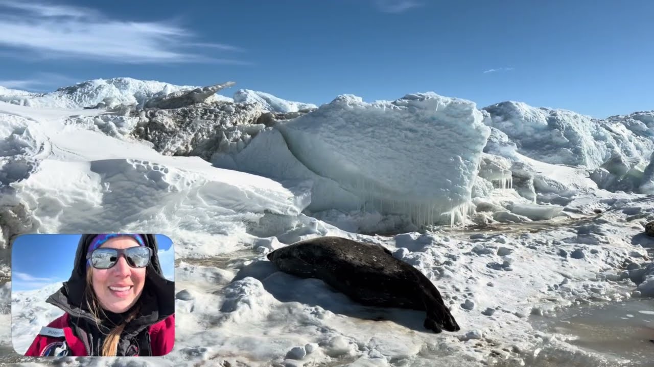 PhD Student Parker Levinson Reports From the North Base Weddell Seal Pupping Colony