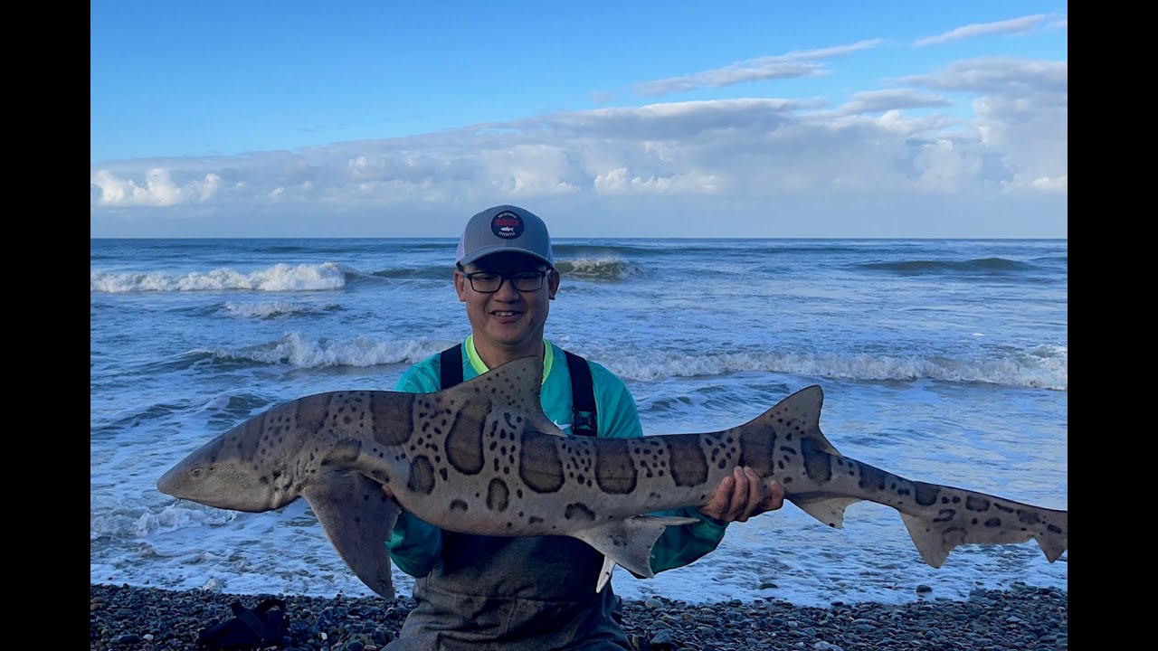Southern California Surf Fishing Report 4 24 25 #fishthesurf #surffishing #yoursaltwaterguide