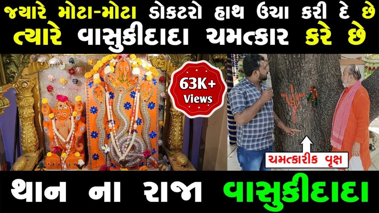 હોસ્પિટલોમાં જે સાજા નથી થાતાં તેને વાસુકીદાદા દોડતા કરી દે છે | Vasuki dada