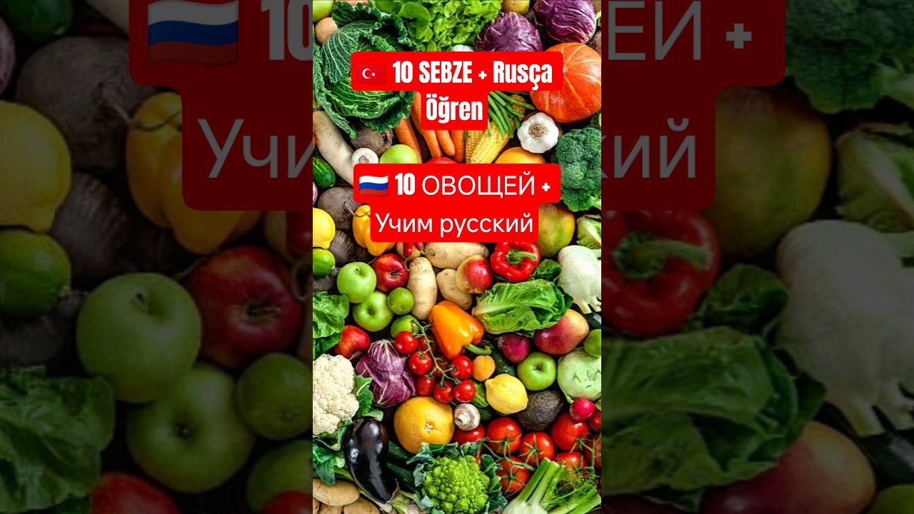 🇹🇷🇷🇺10 Sebze &Ouml;ğren! Rus&ccedil;a Sebzeler + Telaffuz /Учим 10 овощей! Русские слова + произношение #shorts