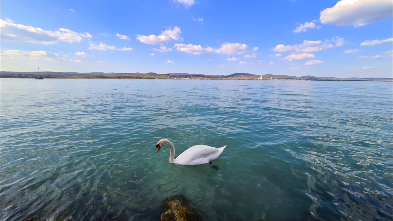Veszprém - Alsóörs - Balatonfüred - Tihany kerékpárúton