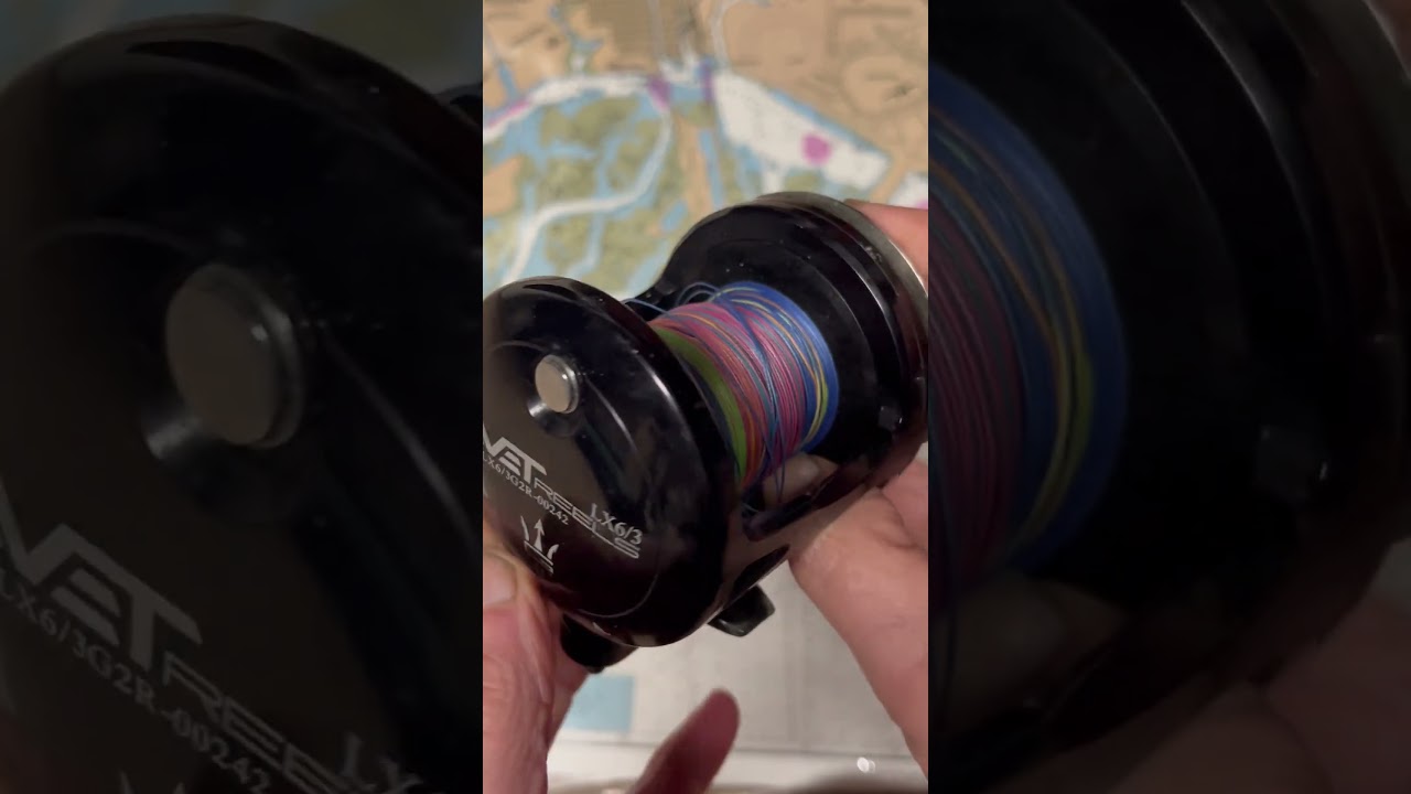 Avet lx 6.3 lever drag fishing reel of the day #fish