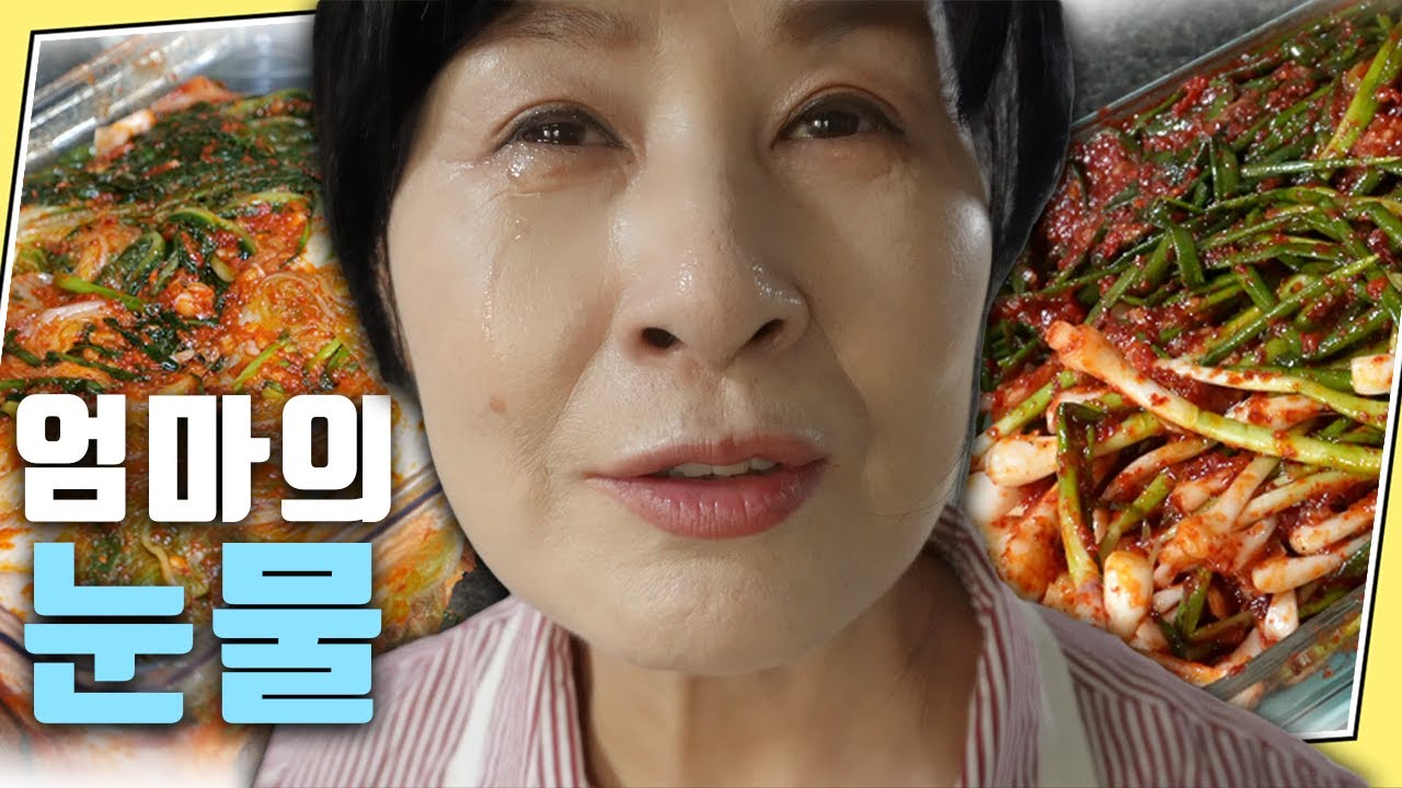 주부동지 여러분 그날이 다가오고 있습니다.. (배추김치 & 파김치 소량으로 김장하는 법)