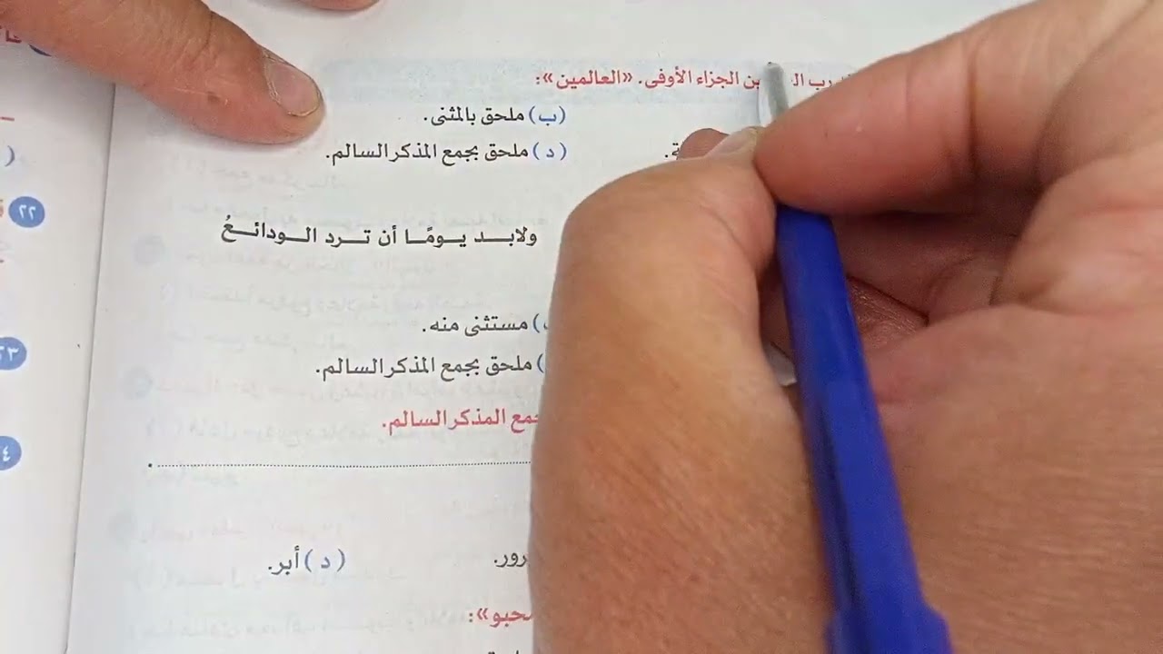 تطبيقات على درس جمع المذكر السالم وما يلحق به من التطبيقات والاختبارات الاضواء 2023 اولى  ثانوى