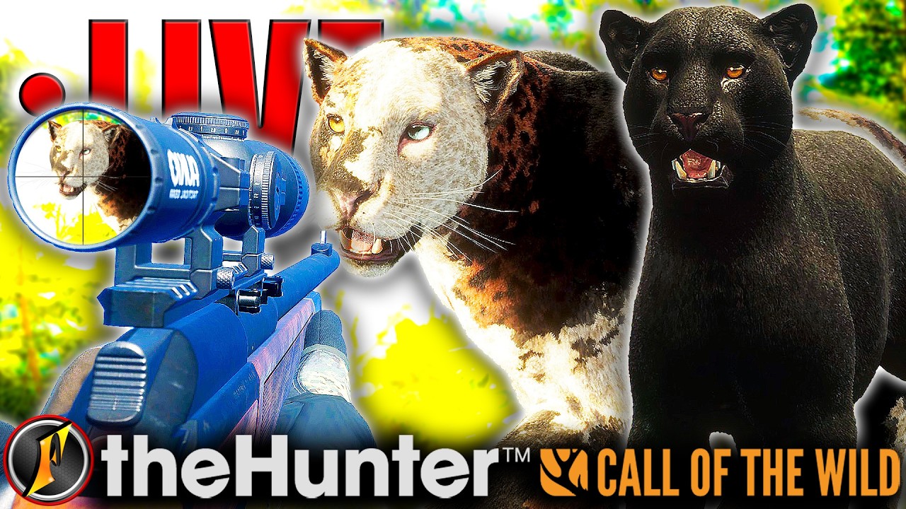 The Great One Jaguar Grind is a GO on Peru! | LIVE