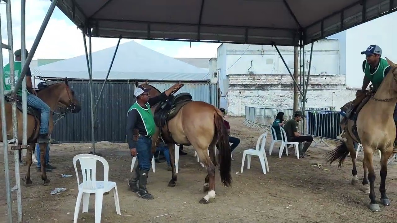 Cobertura da EXPOSAJ 2025 vídeo gravado por Paulo fera comunicação 