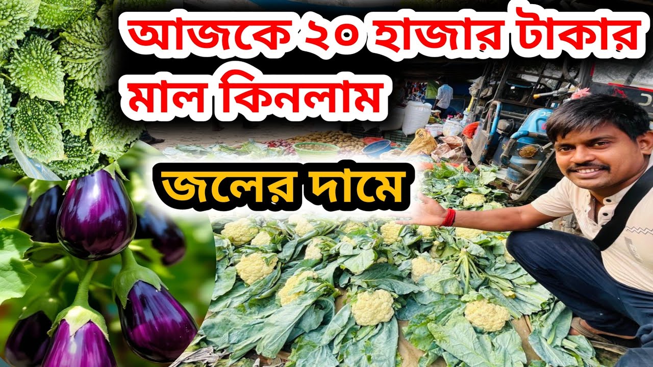 আজকে প্রচুর সবজি পাইকারি কিনলাম || wholesale vegetable market #vegitable