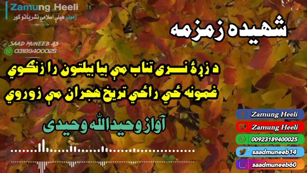 د زړۀ نری تناب مې بيا بيلتون را زنګوي غمونه ځي راځي تريخ هجران مې زوروي آواز وحیدالله وحیدی