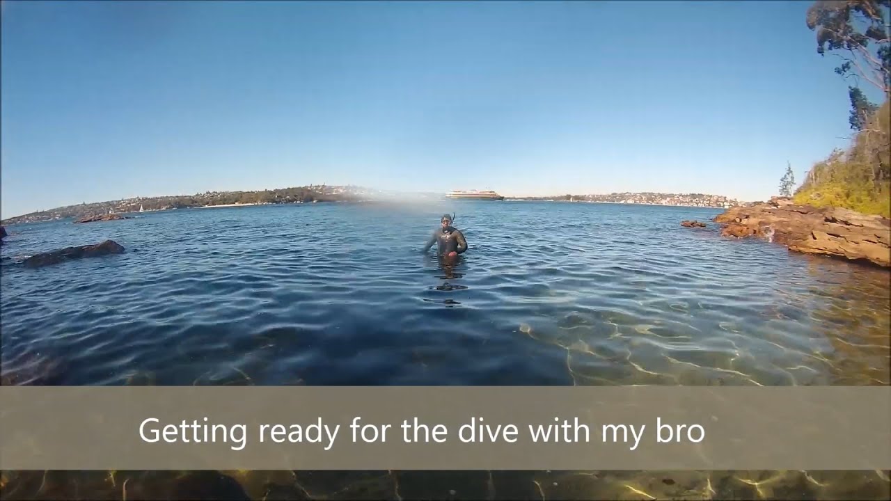 Spearfishing Sydney - Red Morwong, Luderick & Bream