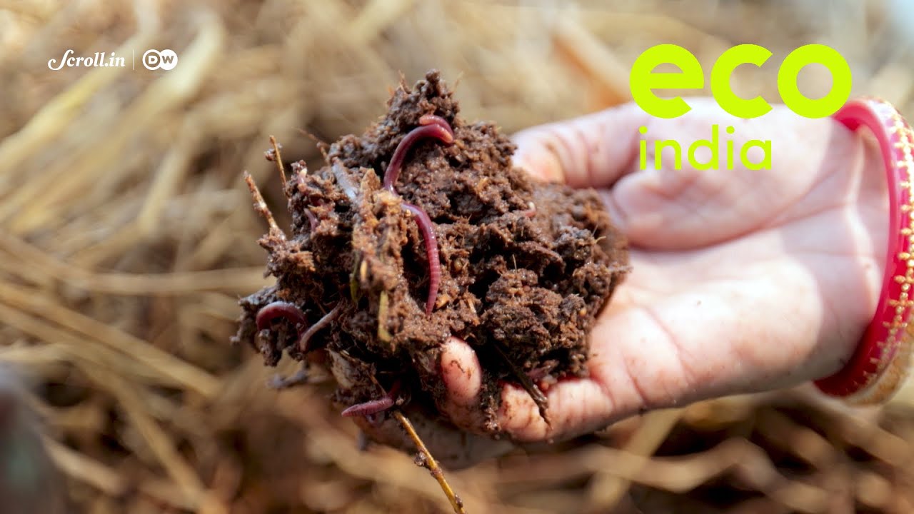 Eco India: How earthworms can reverse the effects of chemicals in fertile soil