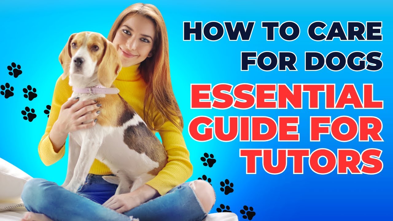 How to Care for Dogs: Essential Guide for Responsible Dog Owners.