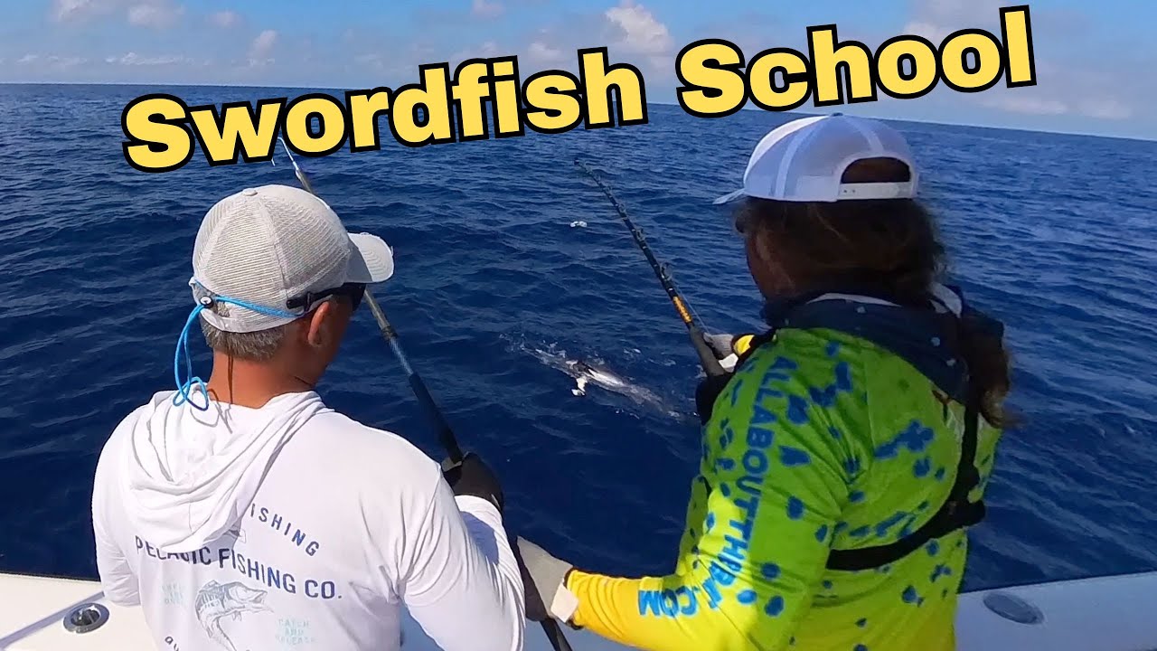 Learn How To Daytime Swordfish
