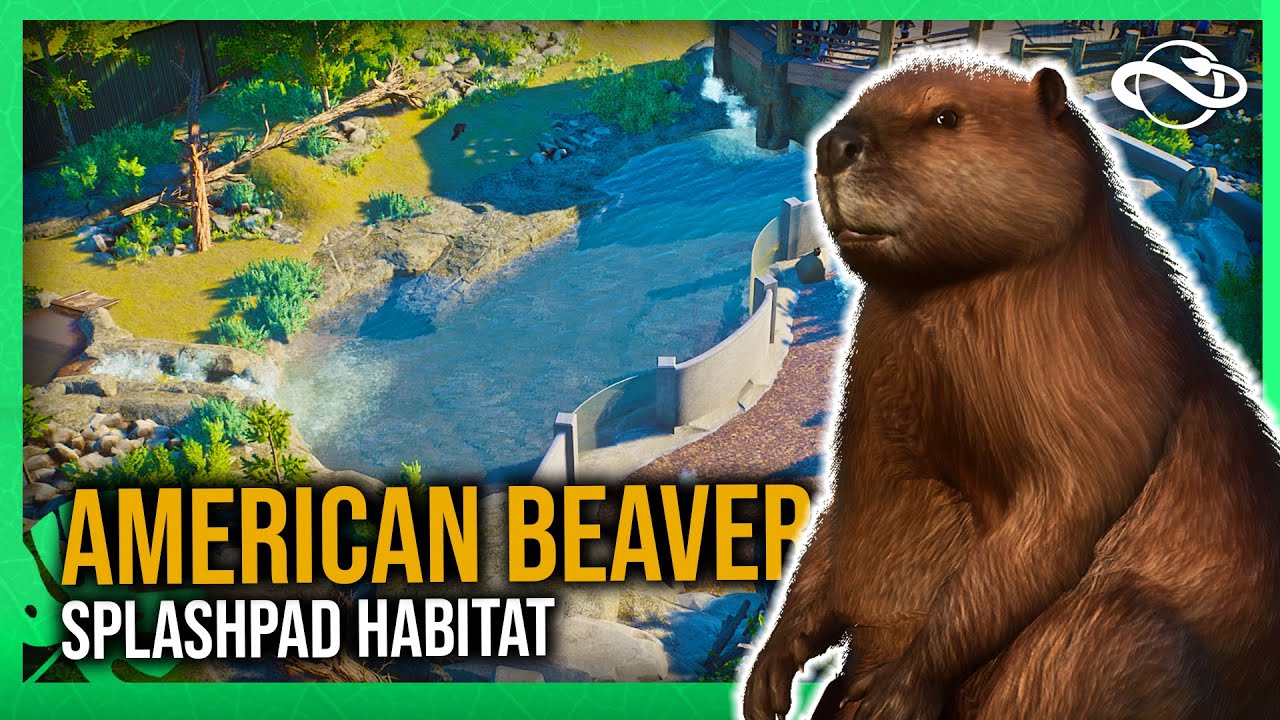 Beaver Habitat & Underwater Splashpad! - Sugar Pine Zoo