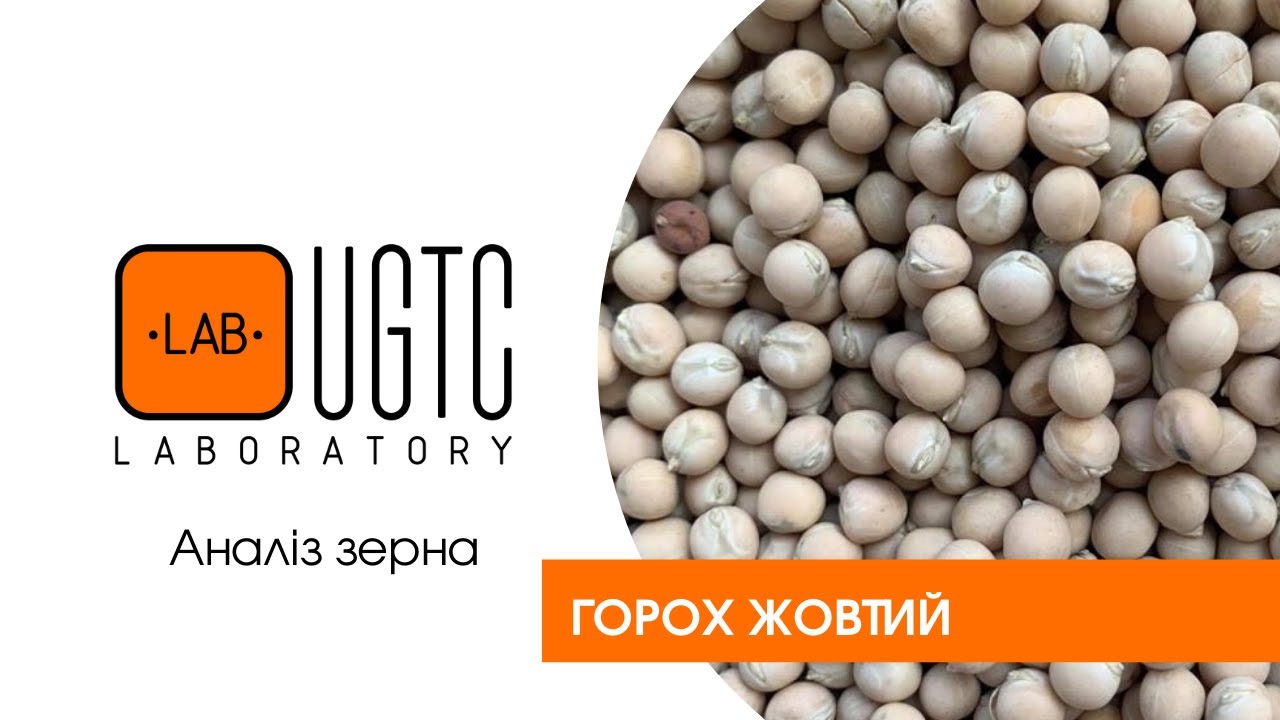 Аналіз якості гороху   UGTC lab