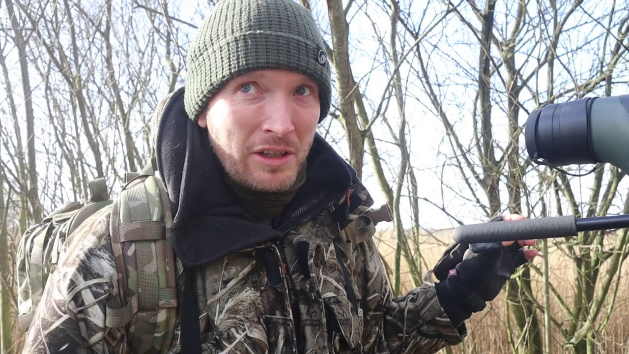 Birding and Beyond #2 Birding Somerset levels (Part 1)