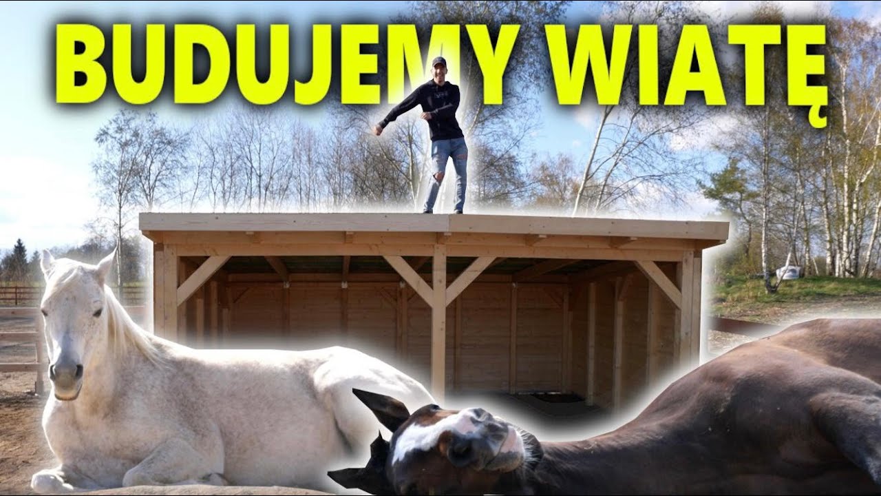 ZBUDOWALIŚMY WIATĘ DLA KONI !! *Ikata Ranch coraz większe i lepsze*