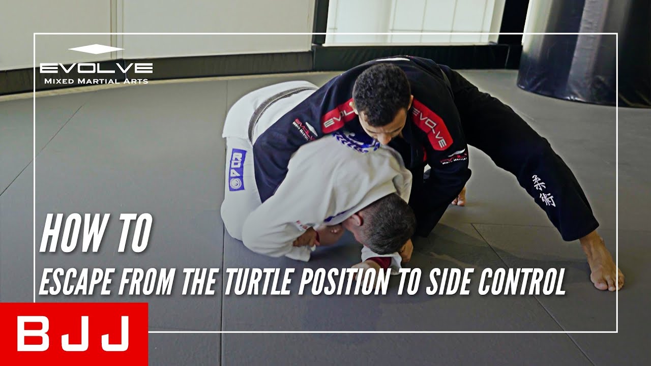 BJJ | How To Escape From The Turtle Position To Side Control