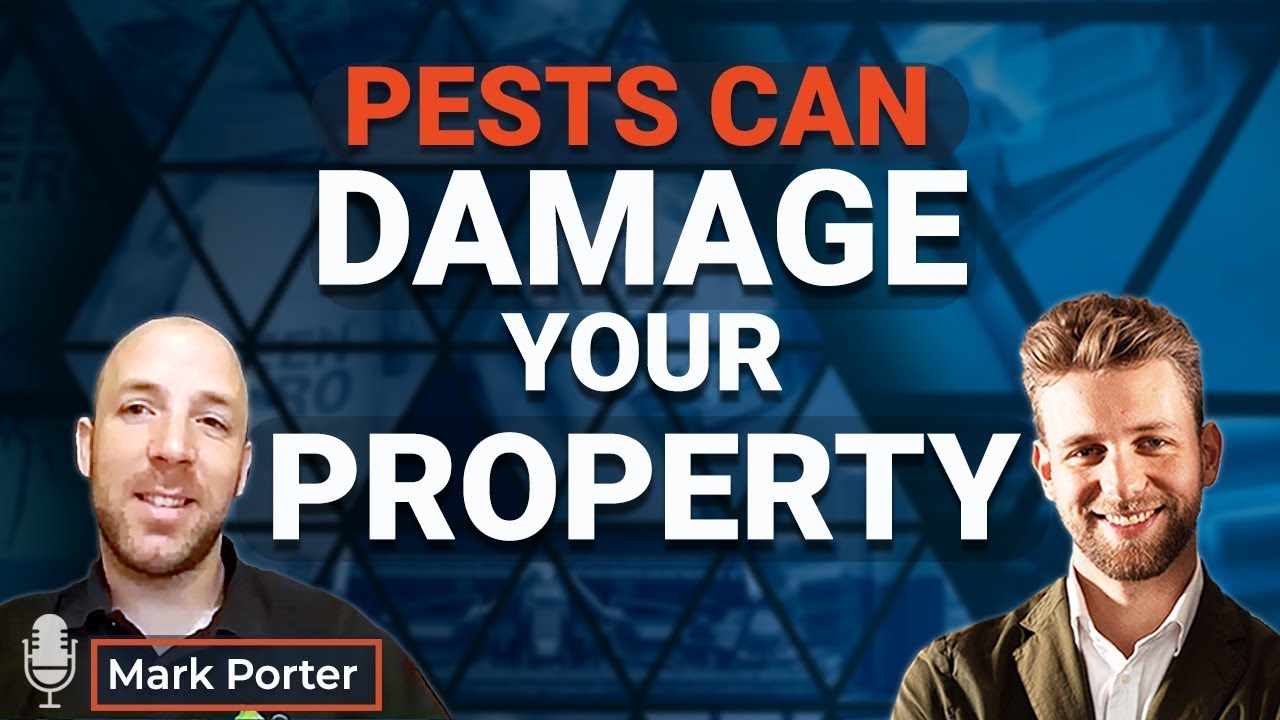 Talking Pest Management 🎙️Pests can damage your property! | Mark Porter