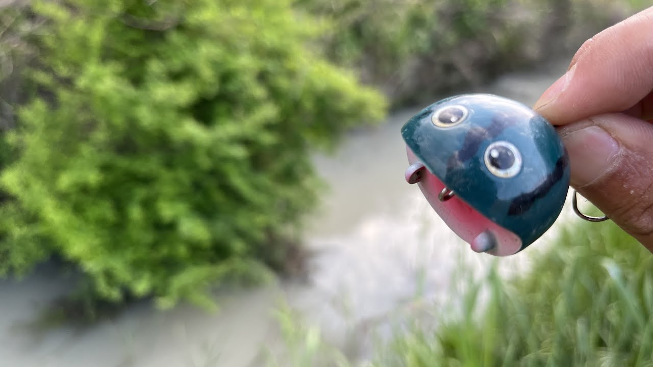 【ナマズ新規開拓】おちぱっくんが大活躍！