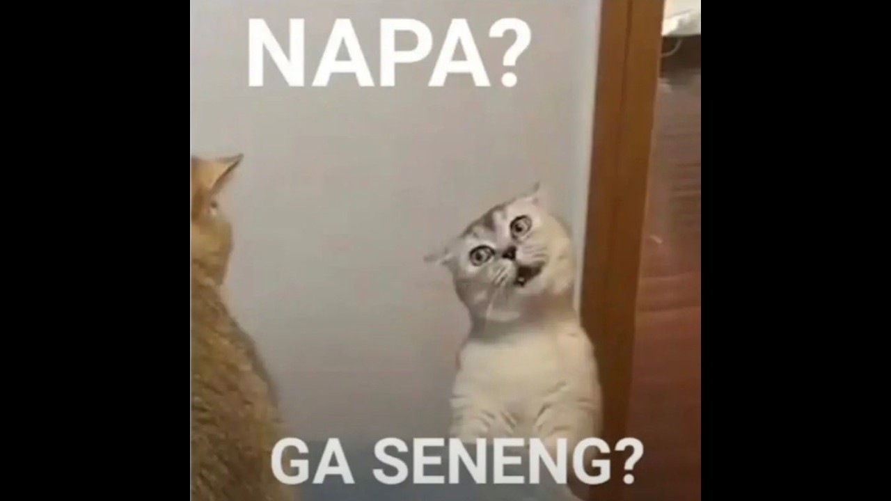 Mie Ayam - Vol. 12 | #executiverp