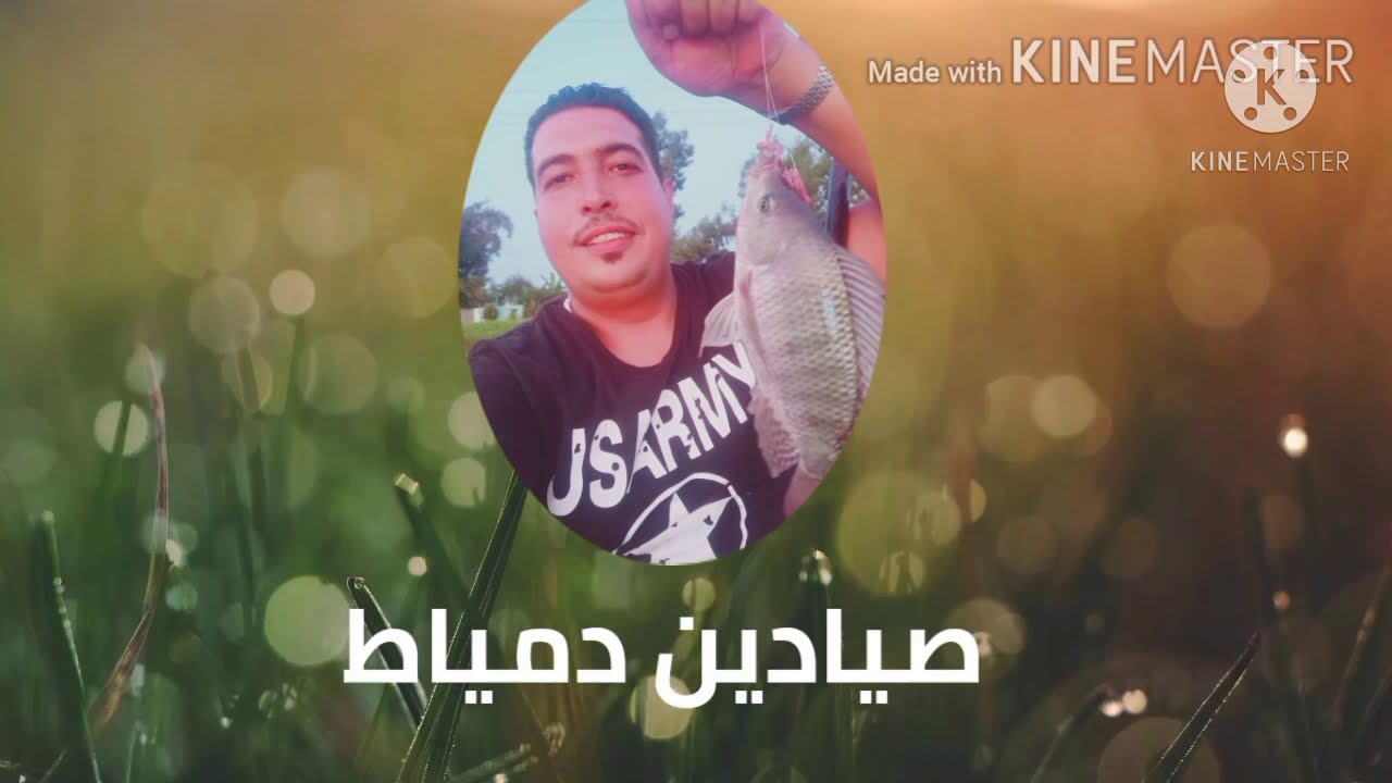 طريقة تخزين الريم لأطول فترة ممكنة شرح كامل بتفاصيل
