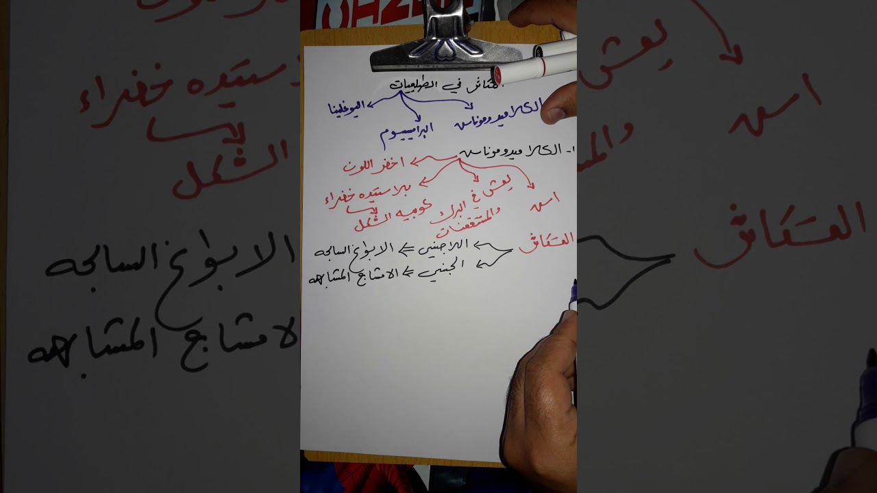احياء/السادس الاحيائي/التكاثر اللاجنسي في الكلاميدوموناس/الاستاذ اسعد الاسدي