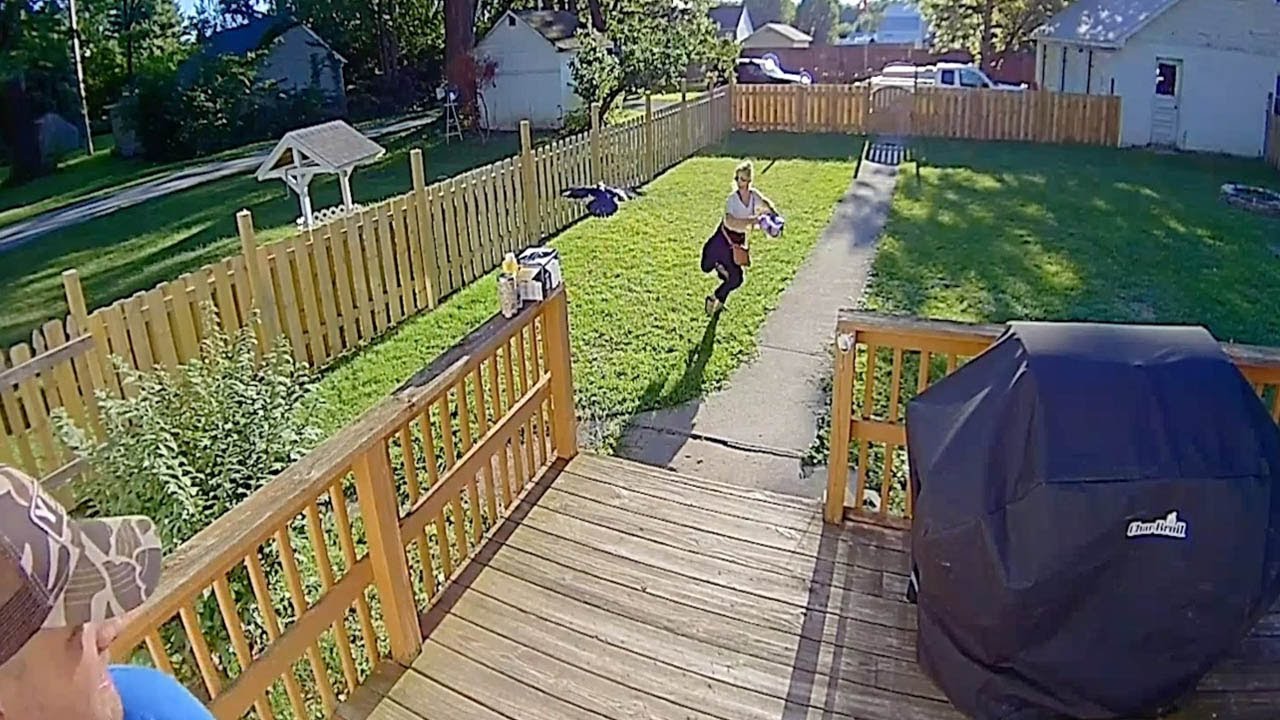 Neighbourhood Crow Swoops At Woman