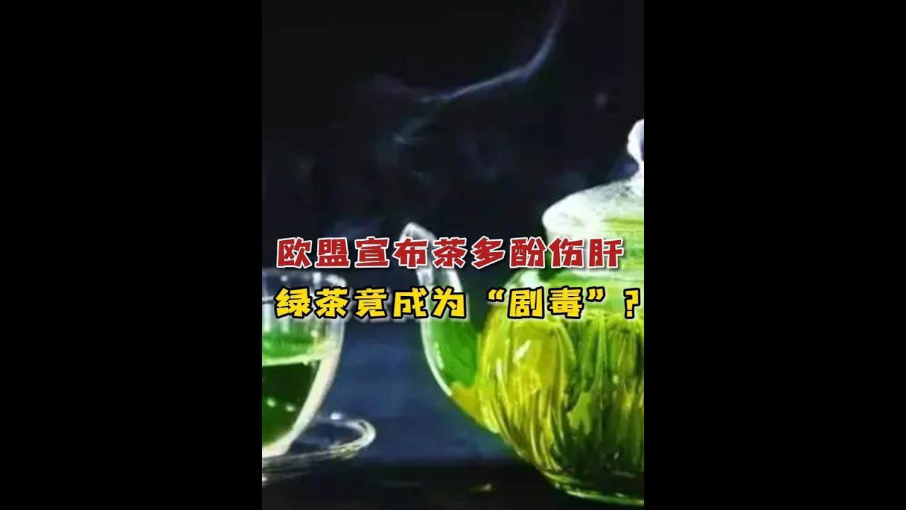 欧盟宣布茶多酚伤肝，绿茶含&ldquo;有毒成分&rdquo;？潮汕人一滴不沾？#潮汕 #绿茶 #茶叶 #健康 #今天你喝茶了吗