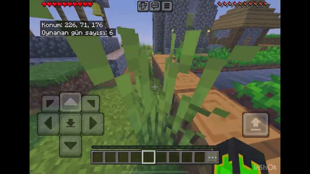 10 gün sonra yamacılar gelecek Minecraft 1. BÖLÜM 