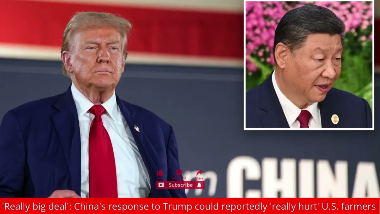 'Really big deal': China's response to Trump could reportedly 'really hurt' U.S. farmers