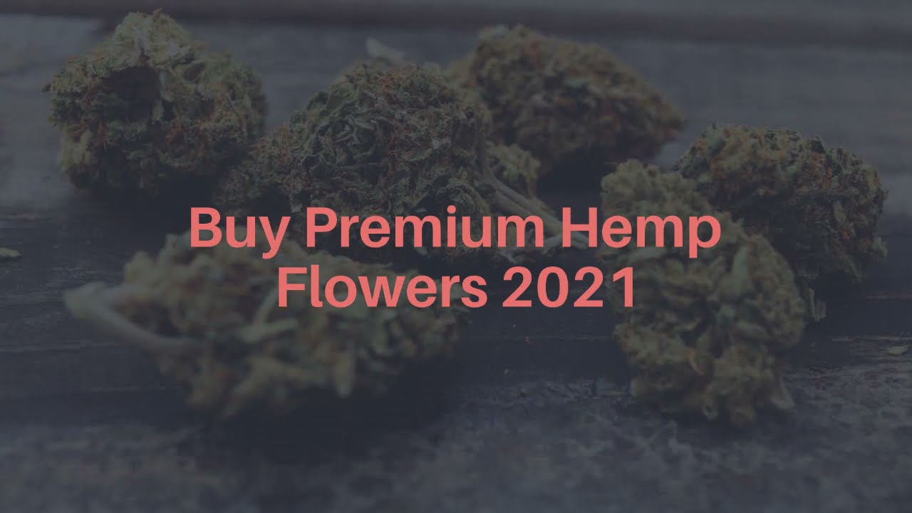 Hemps Farm Store | Buy Premium Hemp Flowers Europe | Best CBD flower companies 2021