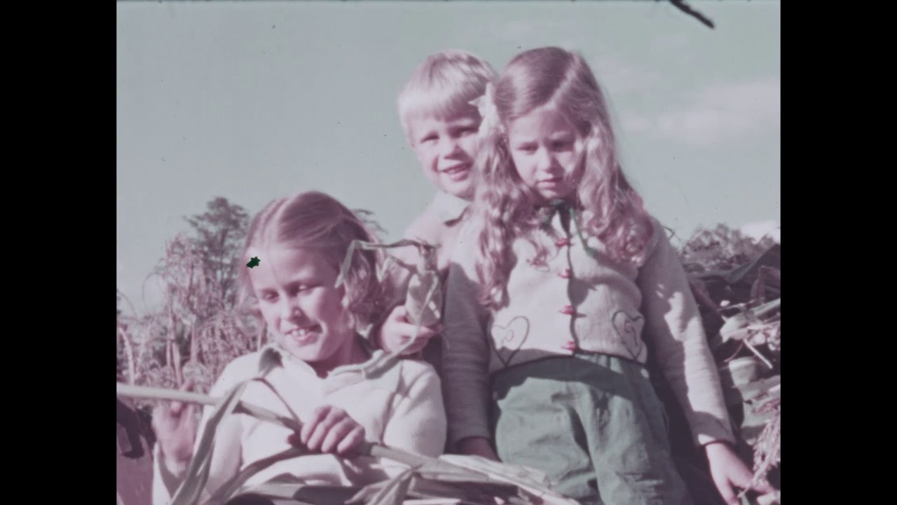 LeHand Home Movies: Hyde Park - Springwood
