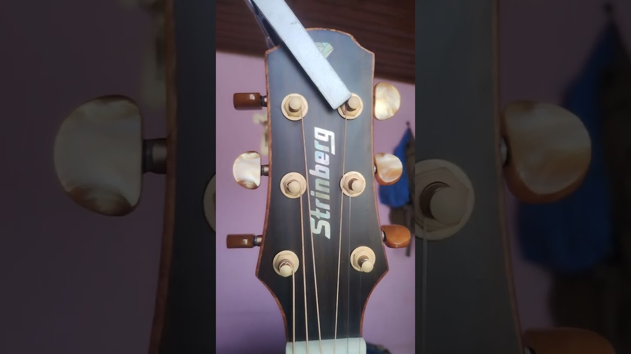 Strinberg DD6 Ns minha impress&atilde;o depois de alguns shows