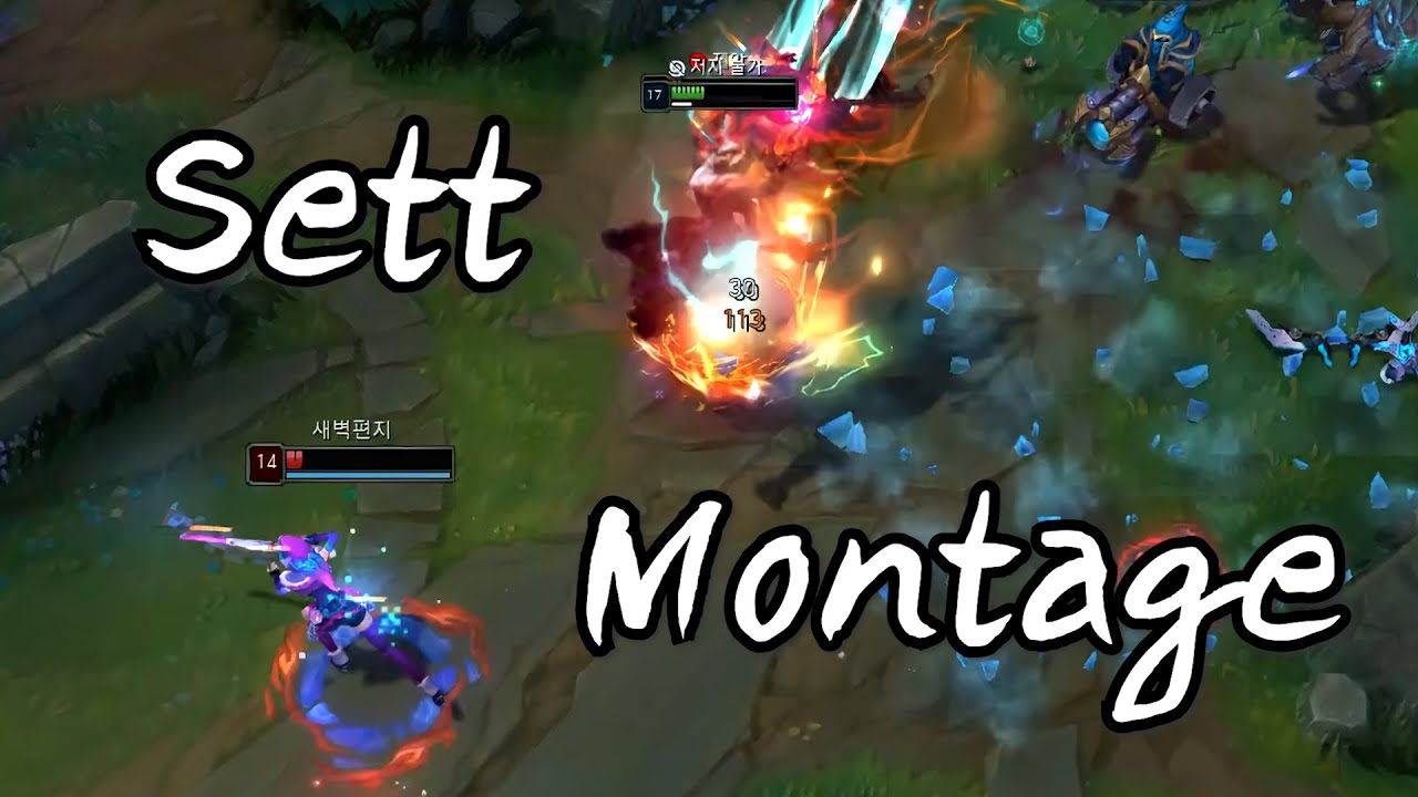 2월의 대미장식 링규 세트 매드무비 [Sett Montage]