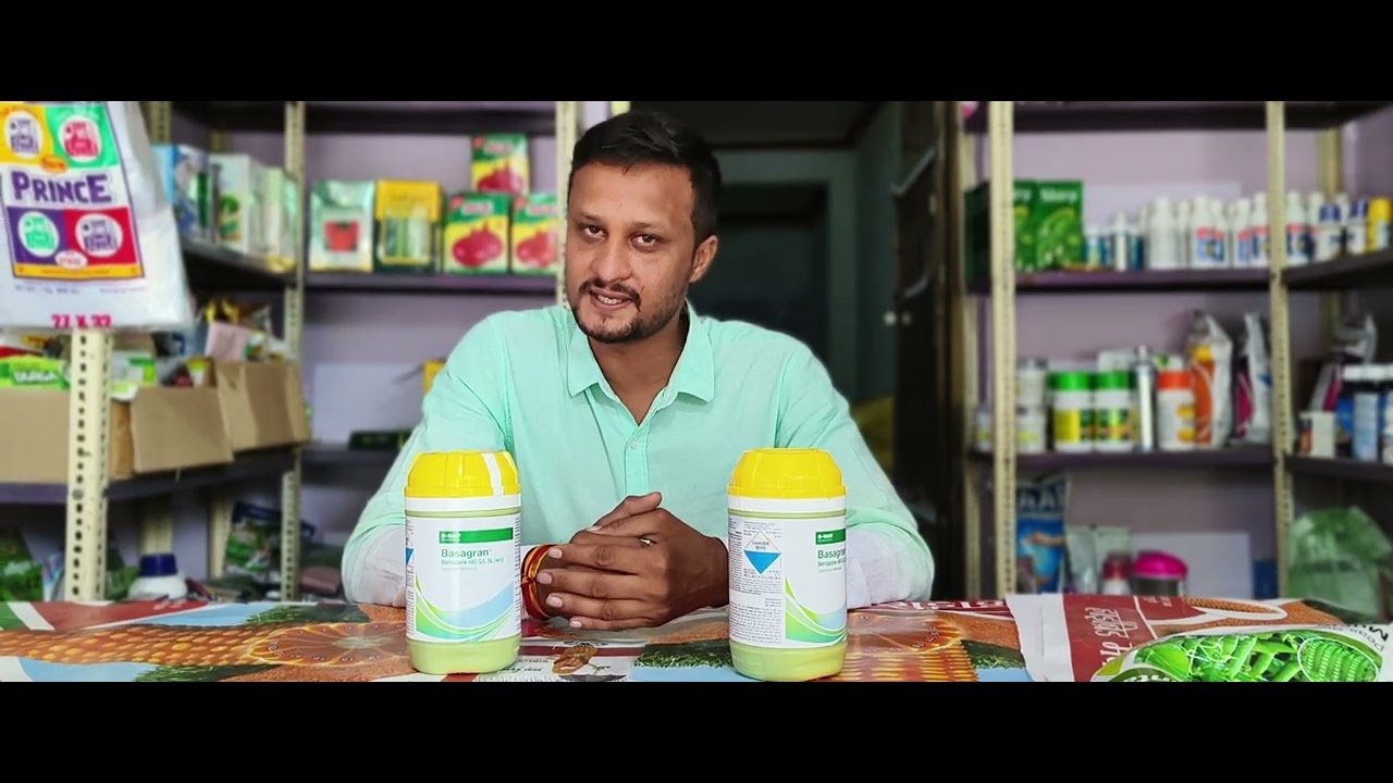 basf basagran मोथा खरपतवार को जड़ से साफ करे पूरी जानकारी।