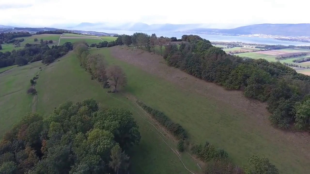 Drone Flight, Vully, Western Switzerland