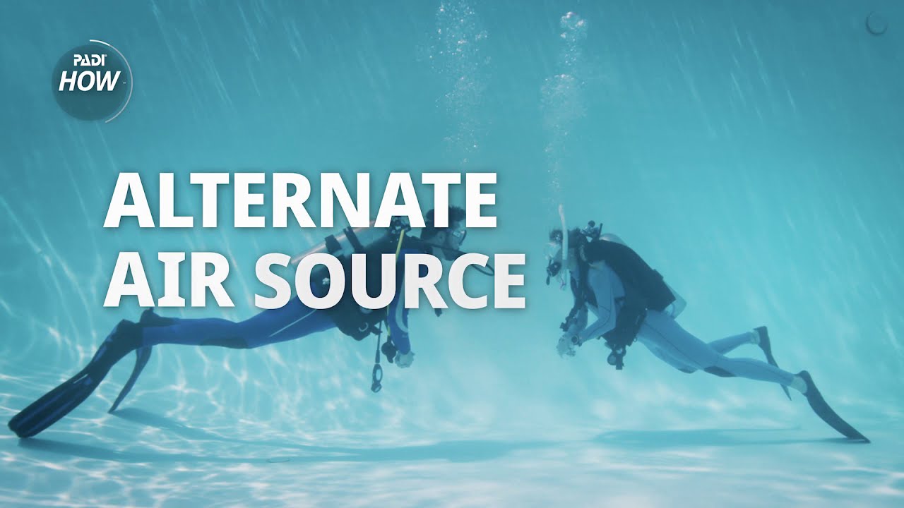 How to share the alternate air source when Scuba diving