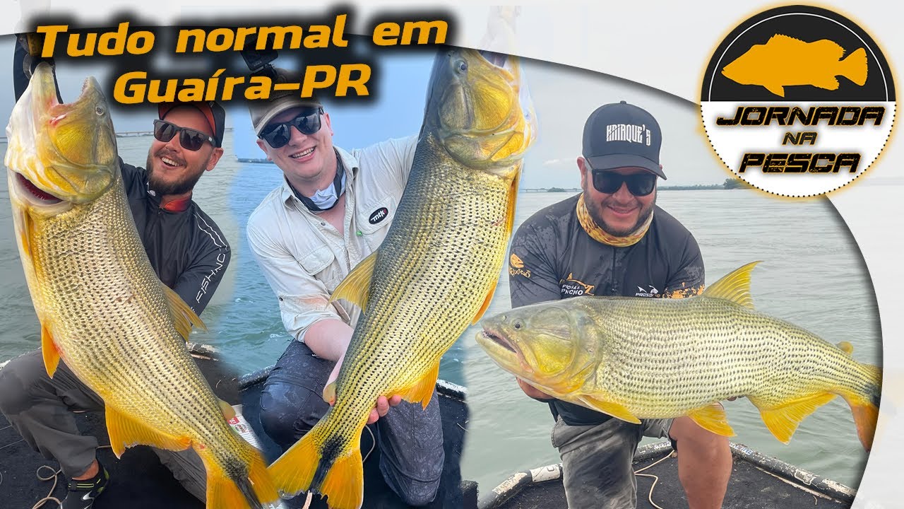 Pescaria de Dourados Gigantes com Guia João Medeiros em Guaíra. SÓ VALE ISCA ARTIFICIAL!!!