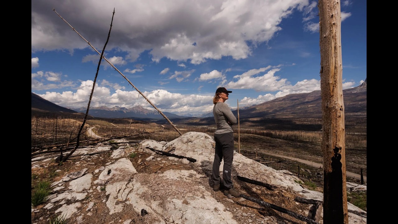 Forest Lights speaker series: Coexisting with wildfire