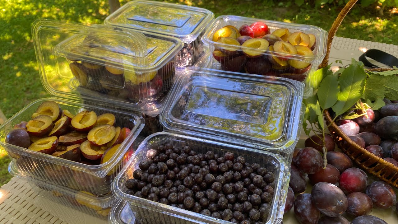 Si ti ruajme disa fruta per dimer!