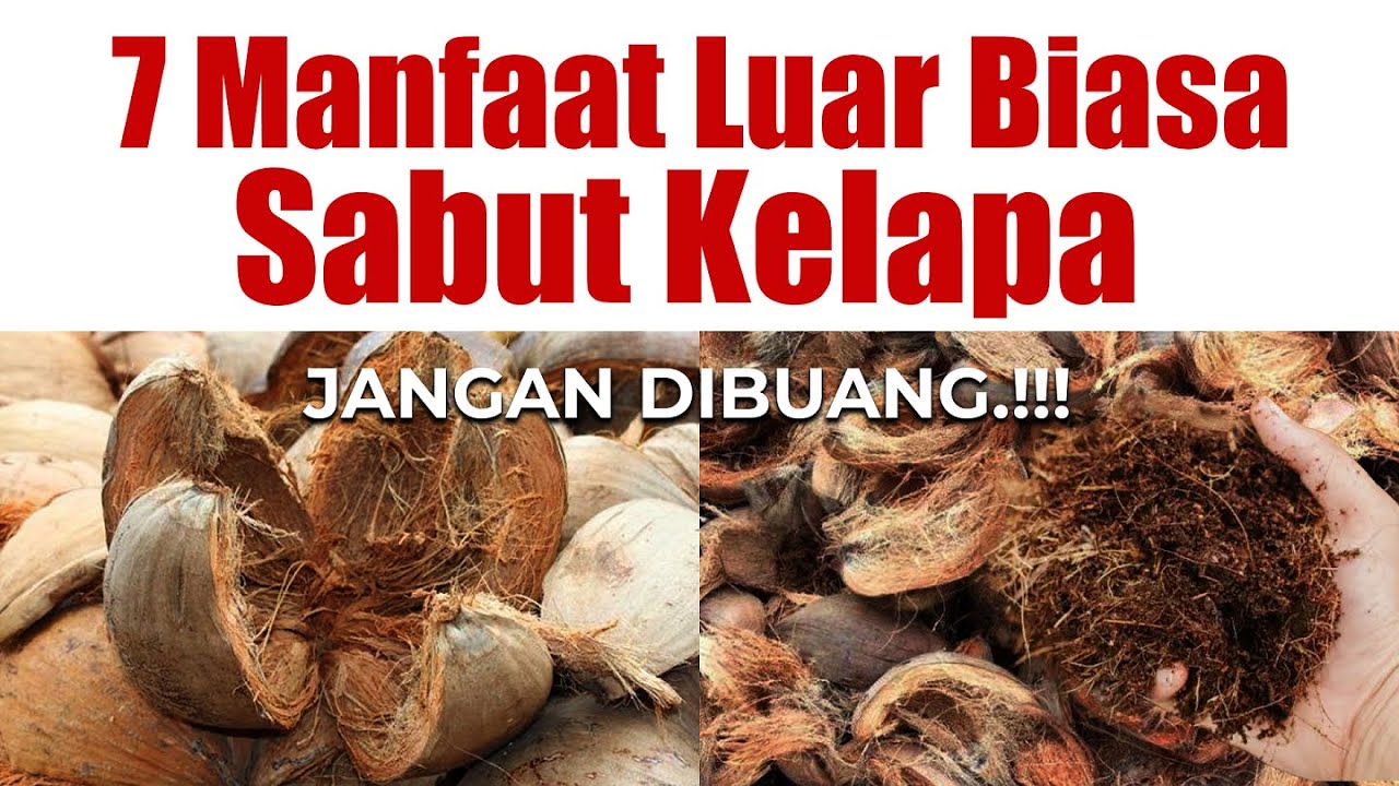 Jarang Diketahui.!!! 7 MANFAAT LUAR BIASA SABUT KELAPA | Cocopeat / Cocofiber