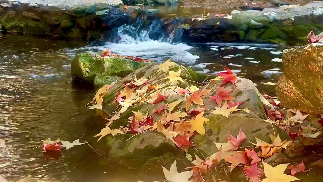 Autumn Creek Sounds &ndash; Flowing water and Fall Leaves