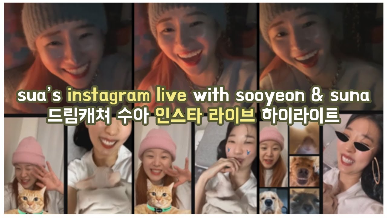 sua's instagram live with sooyeon & suna / 드림캐쳐 수아 첫 인스타 라이브 하이라이트 🐥