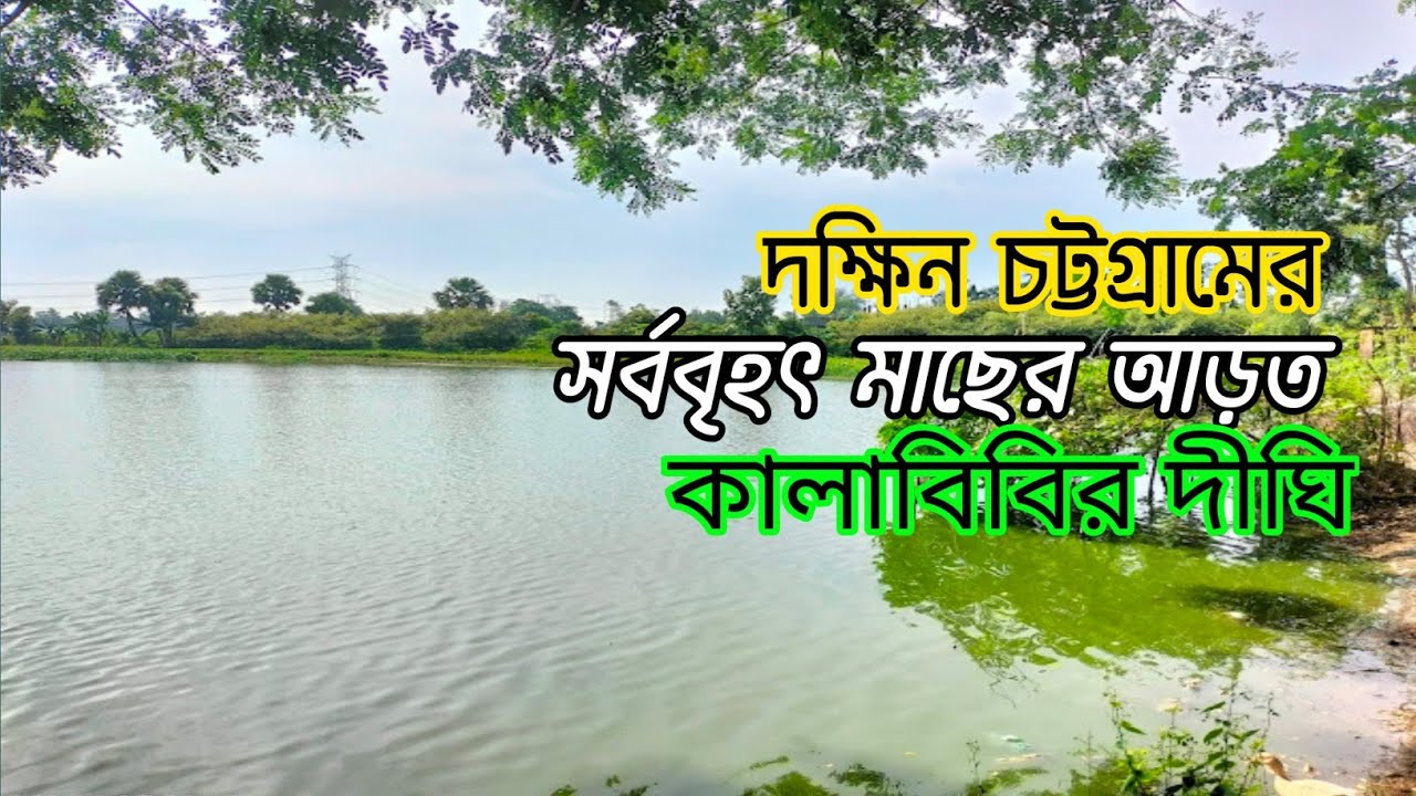 কালাবিবির দীঘি || দক্ষিণ চট্টগ্রামের সবচেয়ে বড় মাছের আড়ত || আনোয়ারা, চট্টগ্রাম ||