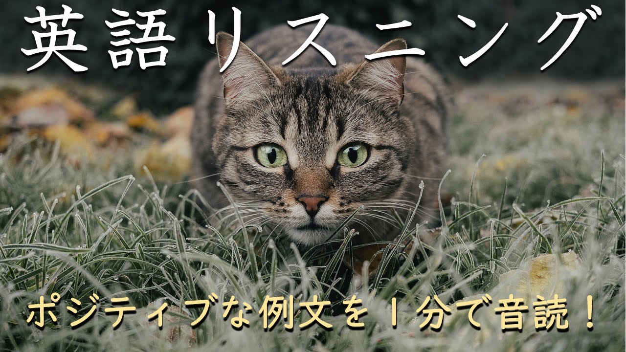 【ポジティブ例文１分だけ】超速英語リスニング_260104