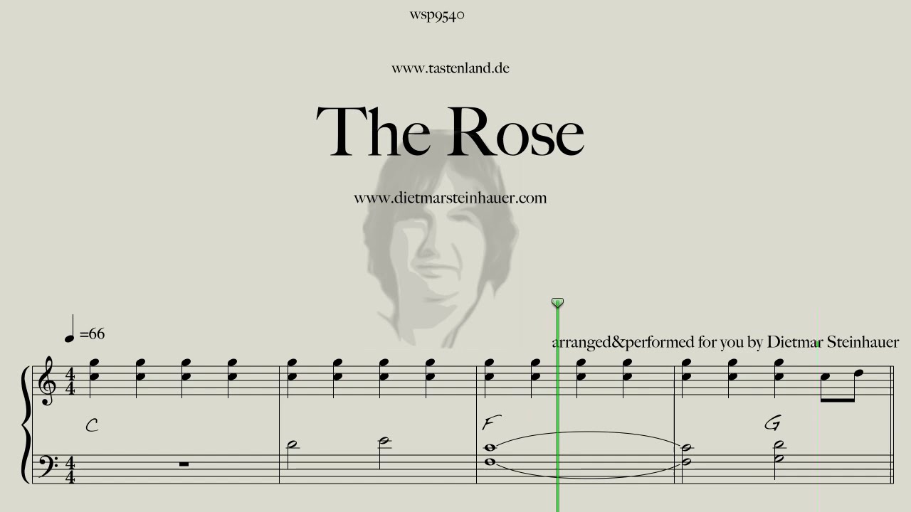 The Rose