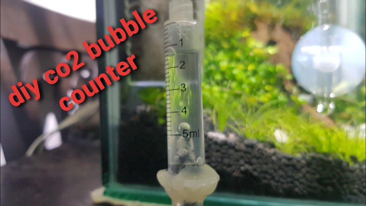 diy co2 bubble counter