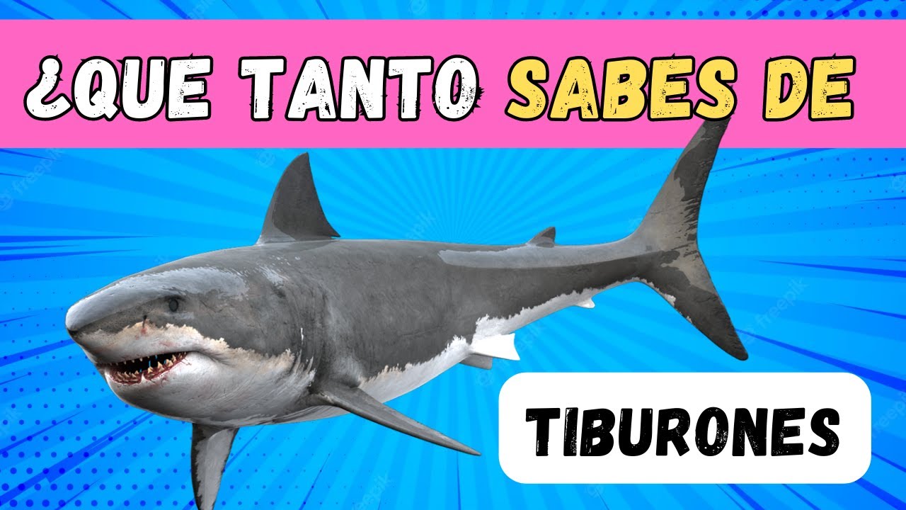 &iquest;Qu&eacute; tanto SABES de TIBURONES? 🦈 🐟 | Trivia Saurio de CURIOSIDADES sobre TIBURONES