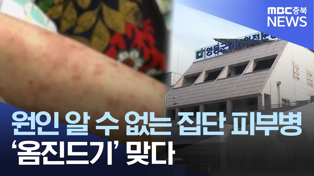 집단 피부병 